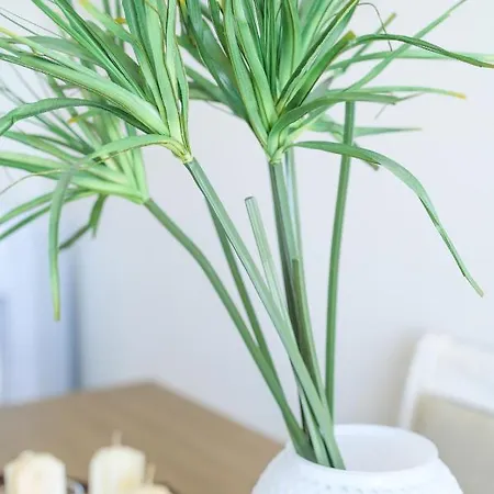 Luxury House Apartament *