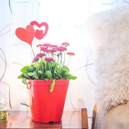 Luxury House * Vrahati