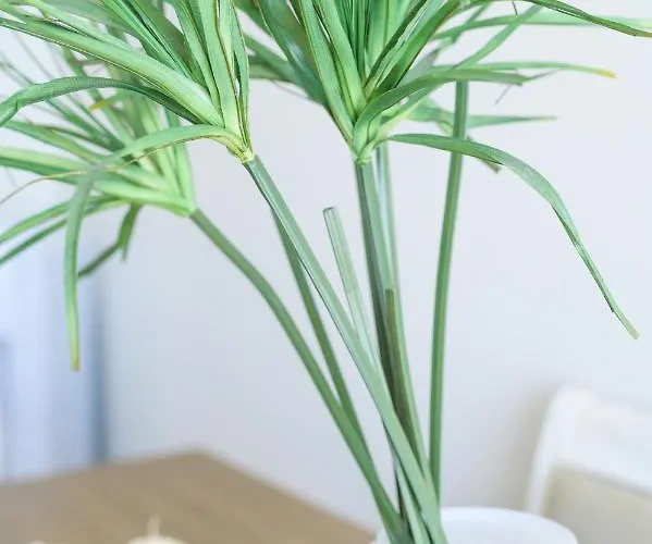 Luxury House Apartmán *