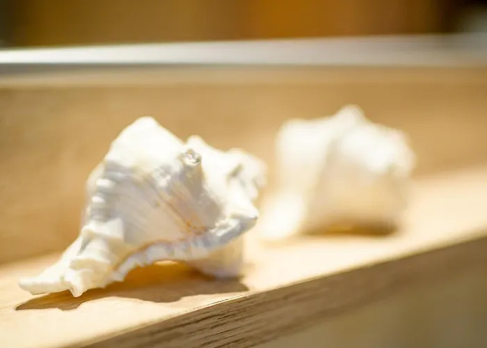 Apartmán Luxury House